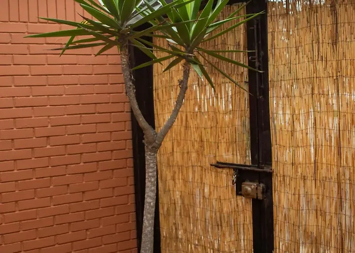 Temazcal Hostel