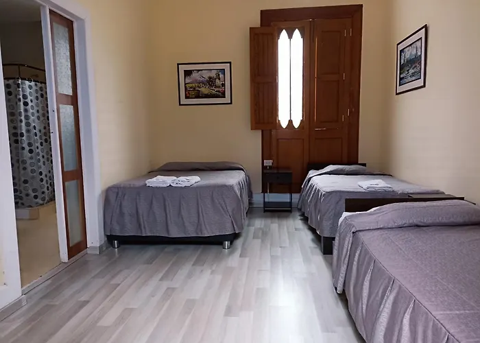 Mango Hostel B&B