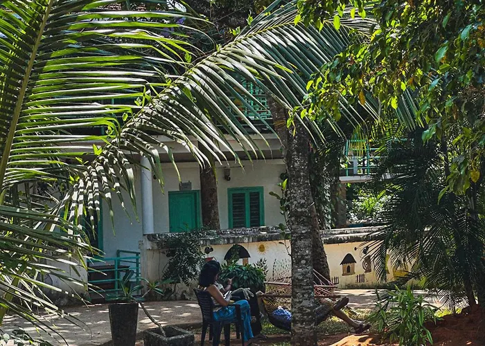 Molly'S Hostel