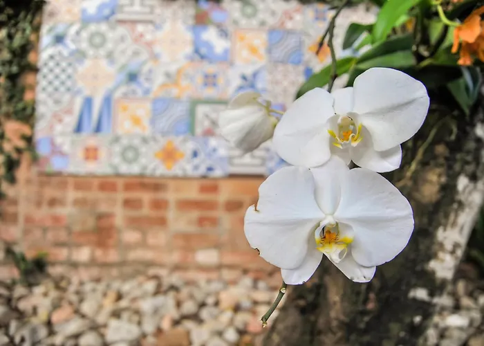 Hotel boutique Apenas: Mercatto Casa Hotel Boutique