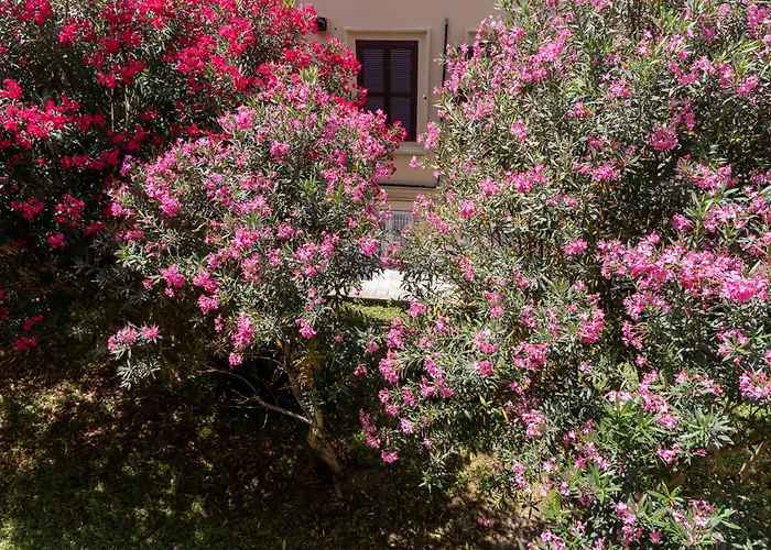 Magenta Classic San Pietro 34B