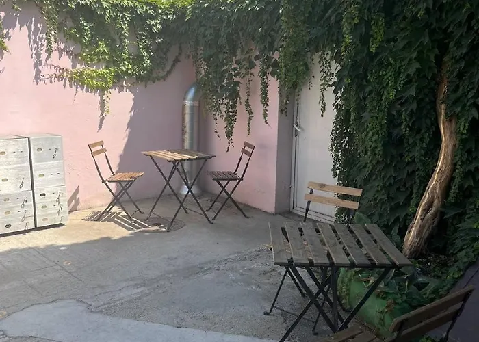 Brodsky'S Cat Art Hostel