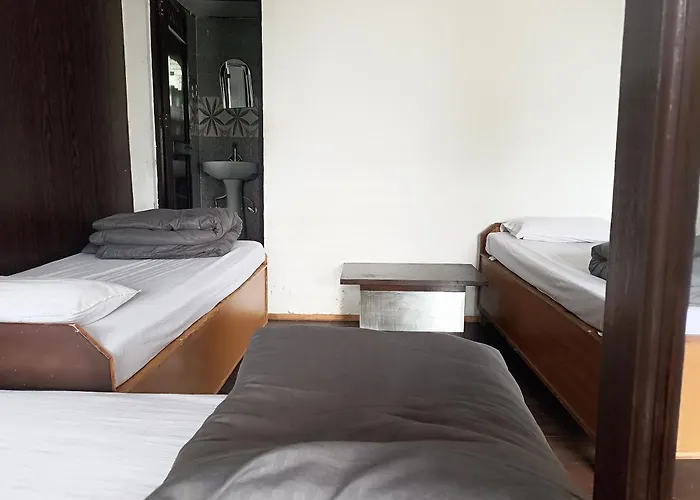 Thrillomania Mcleodganj