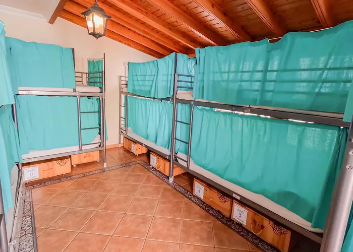 Arena Nest Hostel