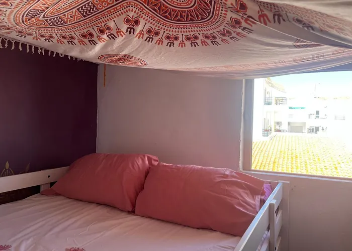 Buddha Bee - 18 To 35 Years Old Only