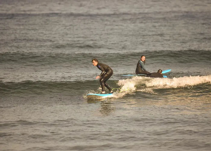 Single Fin Surf Hostel