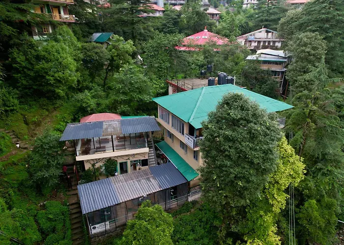 Eevolve Dharamkot - An Eco Hostel