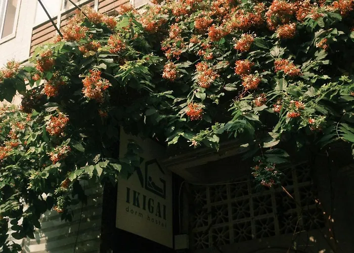 Ikigai Dorm Hostel - Danang Beach