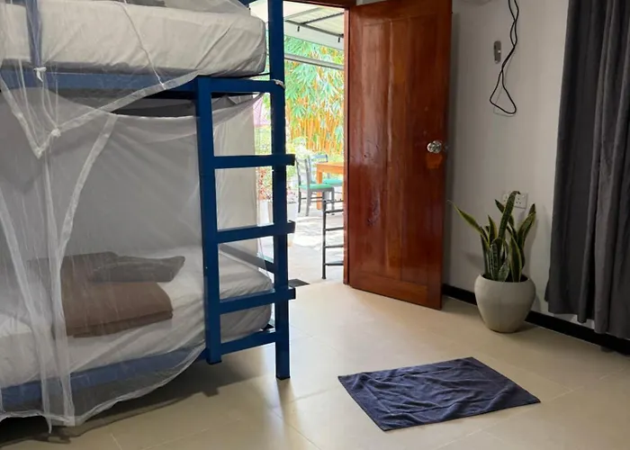 Hive Ella - Hostel