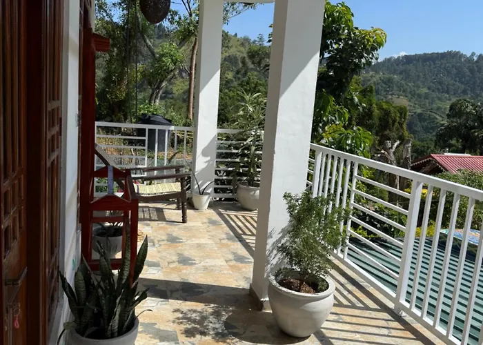 Hive Ella - Hostel