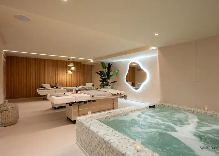 Hôtel accueillant les animaux: Hôtel La Monnaie Art&Spa