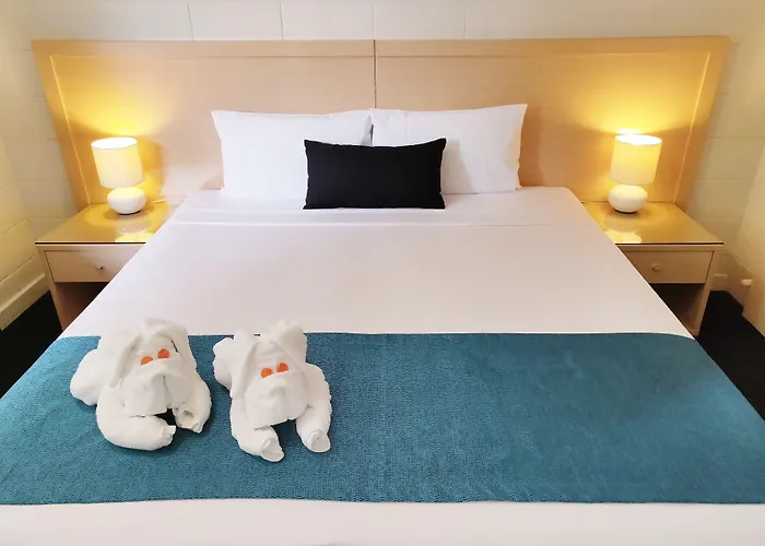 Dog friendly hotels Coconut Grove Holiday Apartments