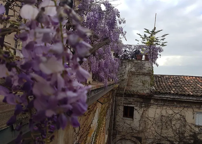 Hotel familiare: Hotel Biscari