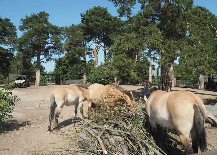 Omena Hotel Helsinki Loennrotinkatu
