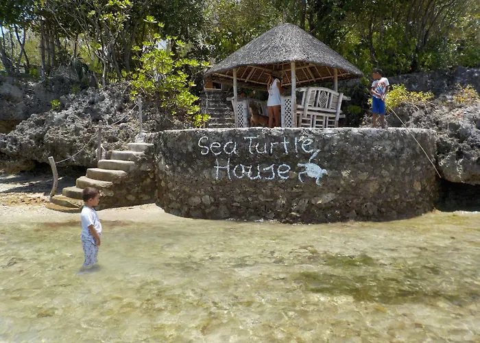 Sea Turtle House Moalboal
