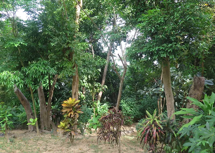 Holidays home Makulay And Villas