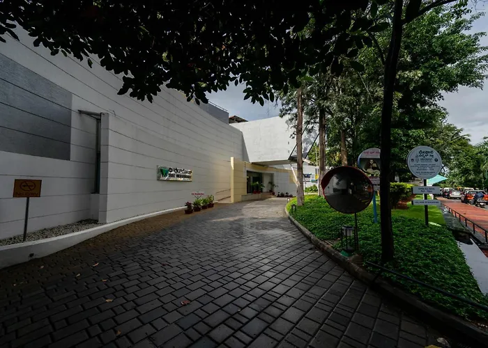 Ping Pong hotel: The Woodrose