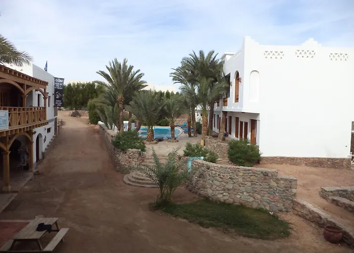Hotel near College: Dahab Divers