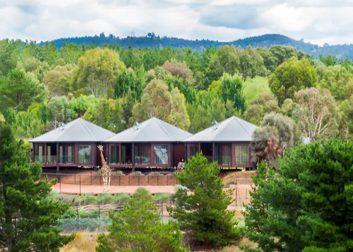 Your Cabin rentals Jamala Wildlife