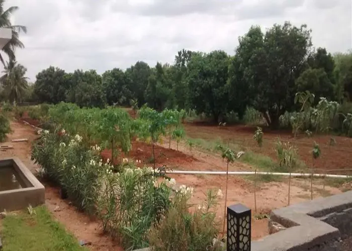 Resort: Heritage Resort Hampi