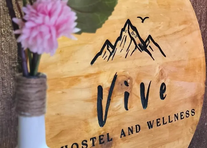Vive Hostel