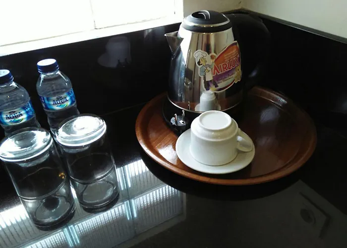 Family Hotel: Vansari Hotel