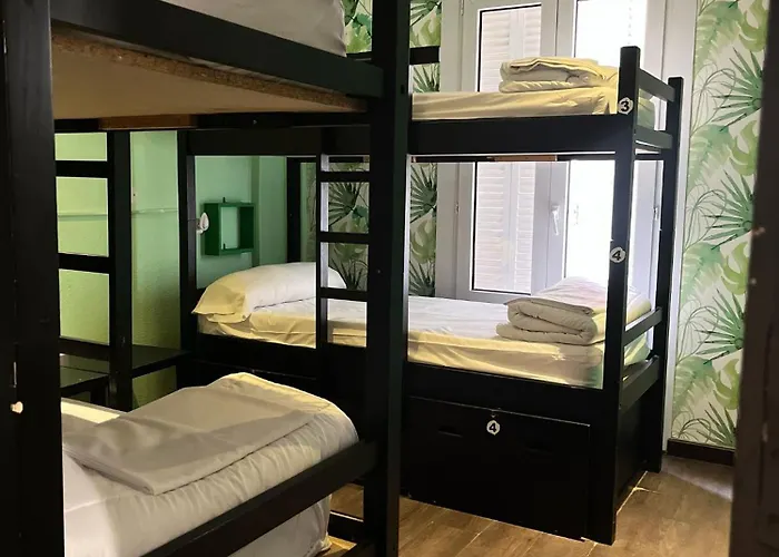 Oasis Backpackers' Toledo