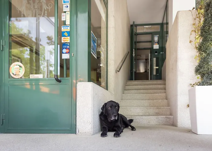 Hotel barato: Hotel Madrid