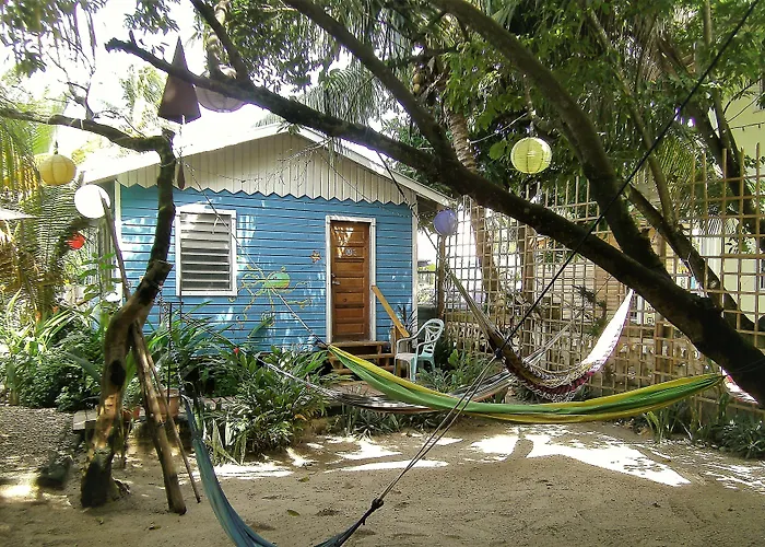 The Funky Dodo Backpackers Hostel