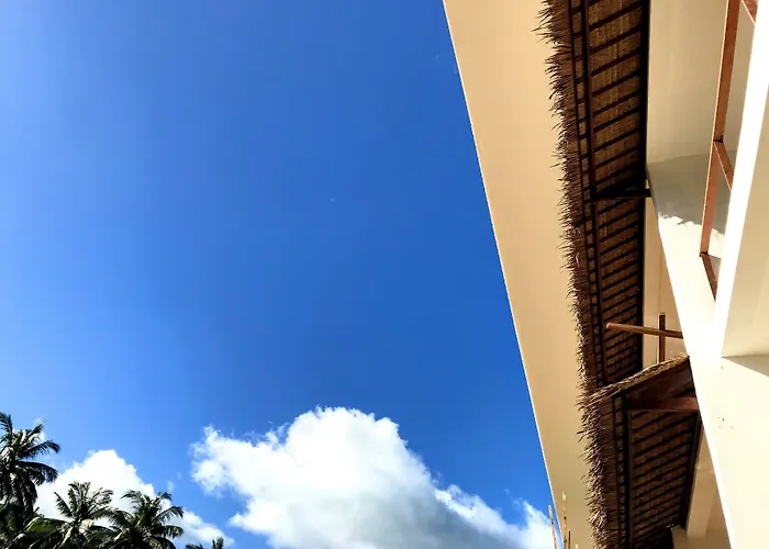 El Nido Moringa