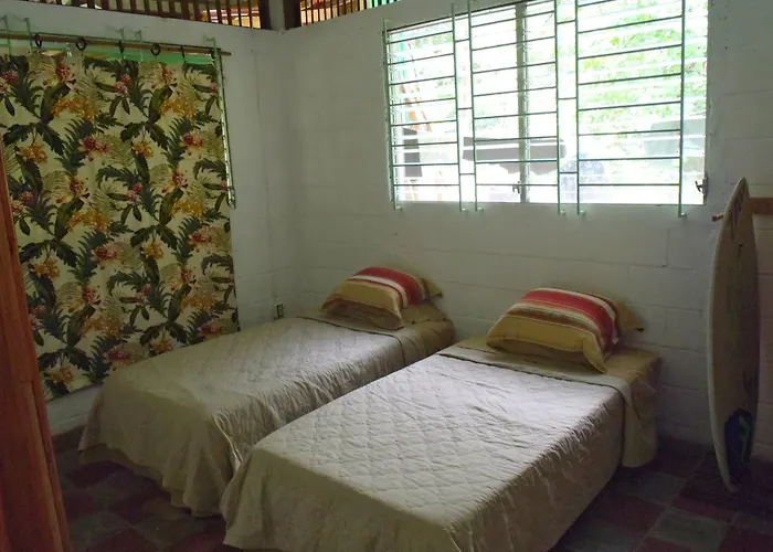 Hammock Plantation