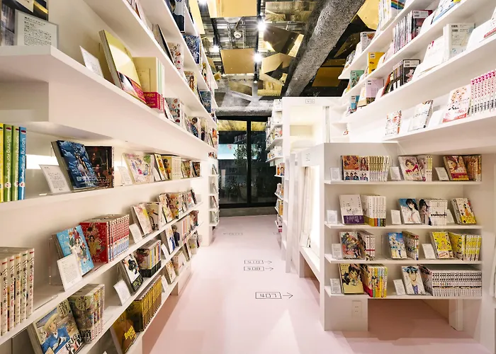 Manga Art Hotel, Tokyo