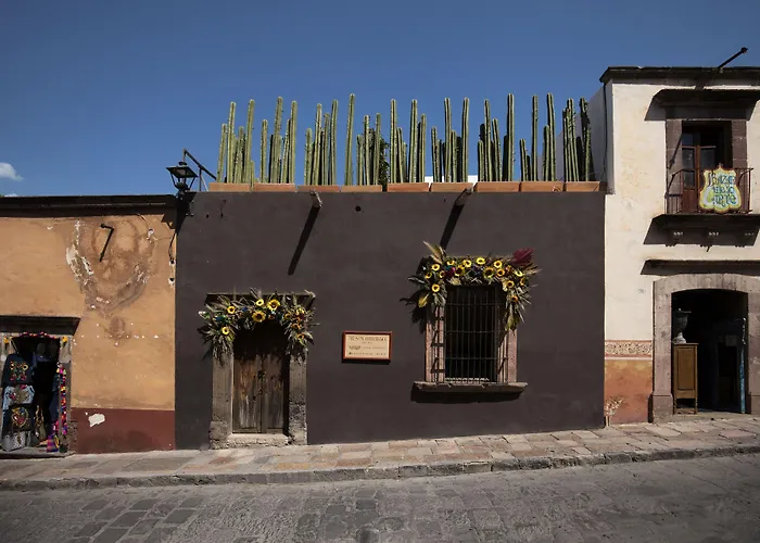 Guests house Meson Hidalgo