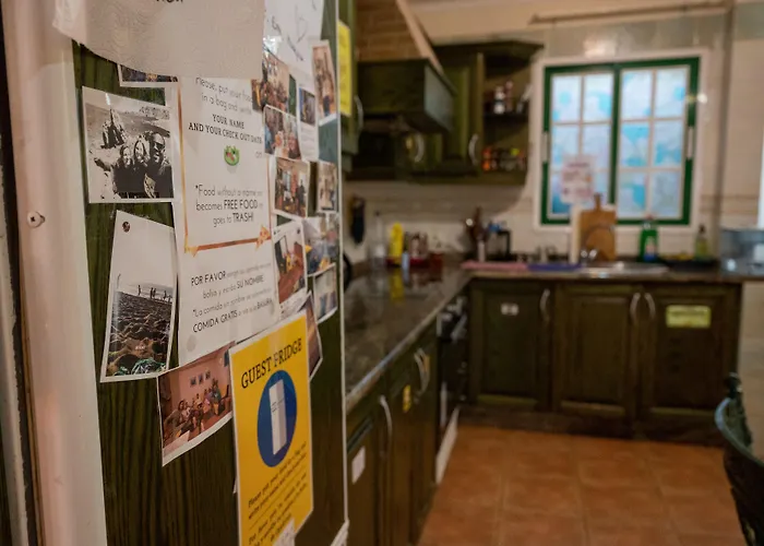 Arena Nest Hostel