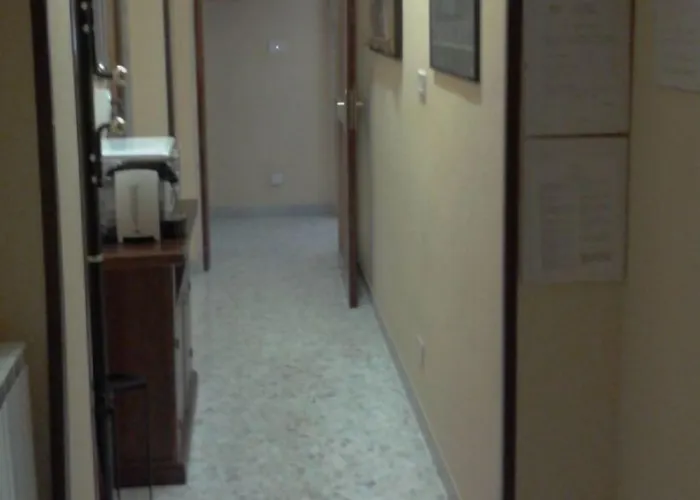 Gatto Bianco Picone 19