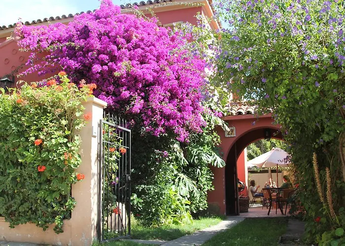 El Arbol Hostel