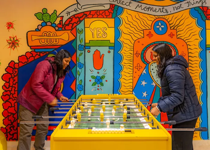 Pet Friendly hotel: The Social Stays Manali