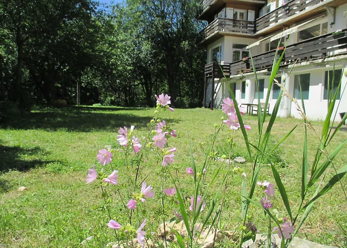 Auberge De Jeunesse Hi Chamrousse