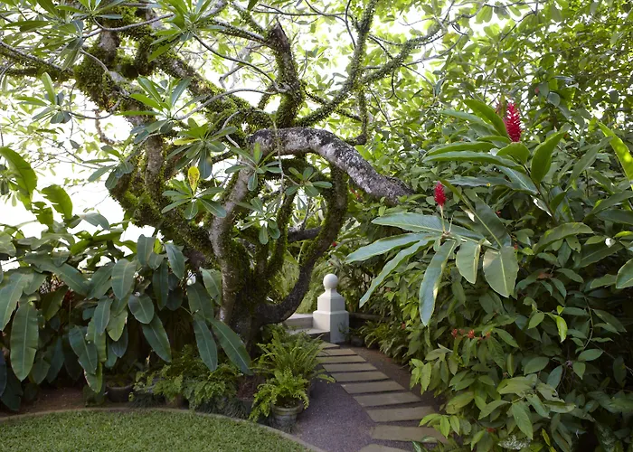 Boutique hotels Amangalla