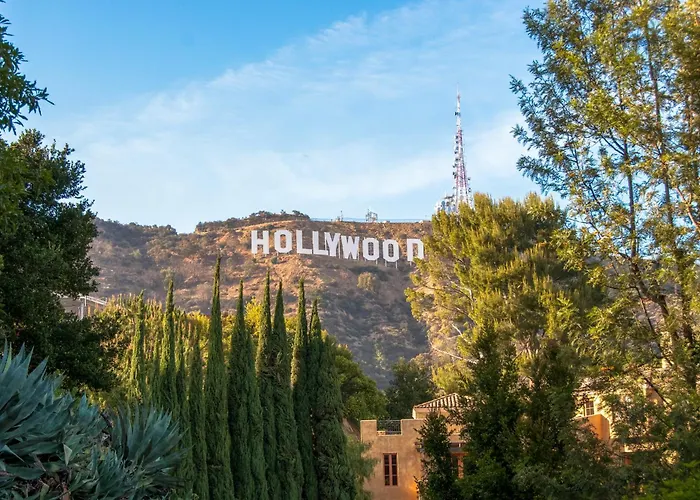 Dog friendly hotels Hollywood