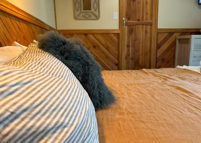 Te Anau Lakefront Backpackers