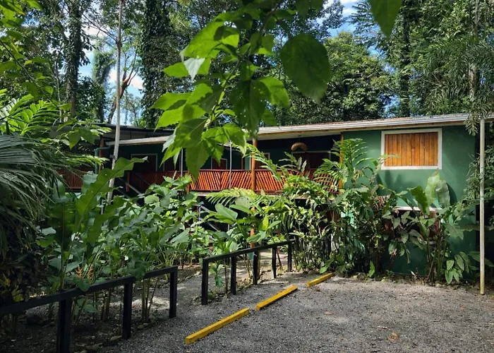 Hotel Boutique The Green Jungle House