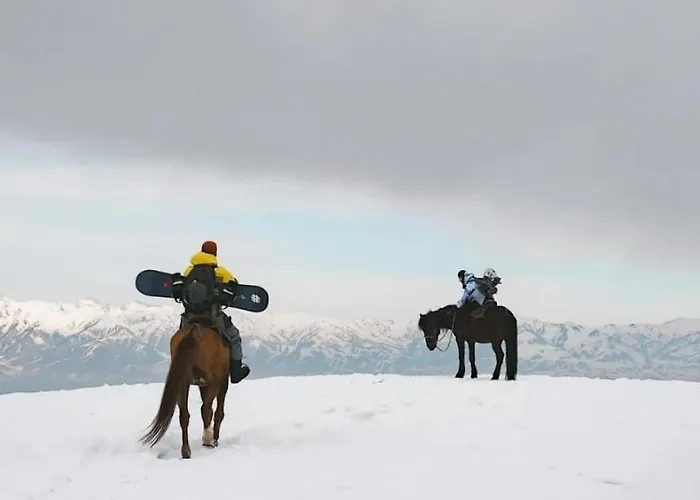 Snow Leopard Hostel