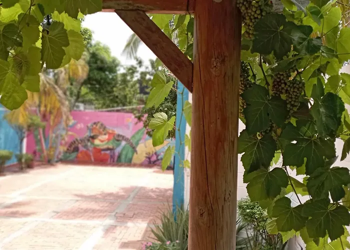 Huisdiervriendelijk hotel: Monkey Man, Beach House