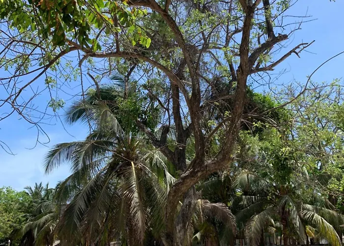 Agua Zalada