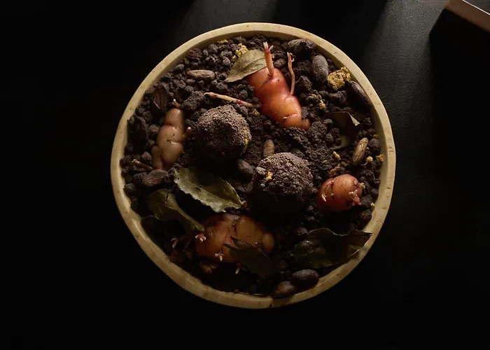 Rothaus Luzern&Peruvian Culinary Art