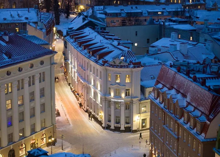 Pet Friendly hotel: My City Hotel