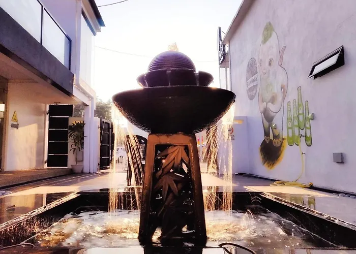 Beds In Garden Hostel