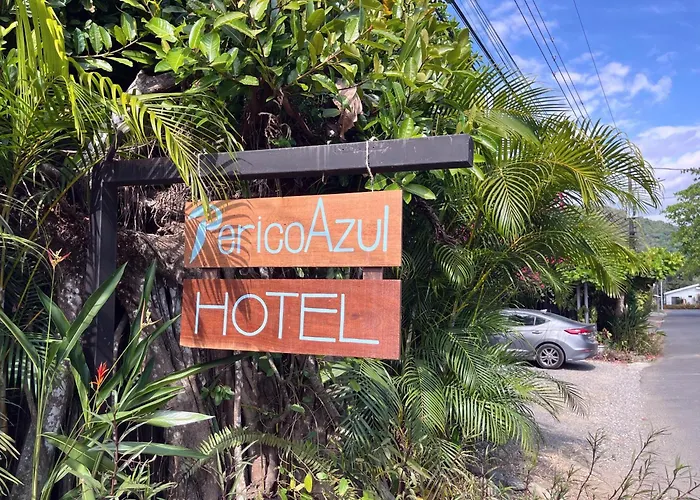 Hotel Perico Azul&Surf Camp