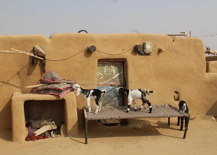 Hotel with view: Hotel Rumis Jaisalmer & Safari